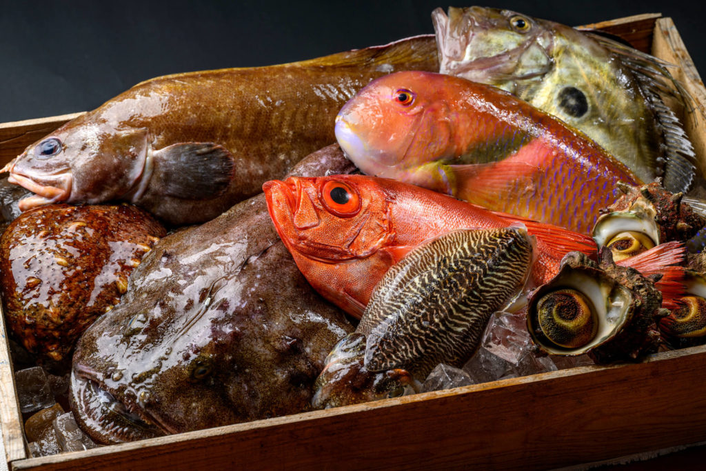 福岡フレンチレストラン宗像フレンチフランスヤで使用する玄界灘の魚たち
